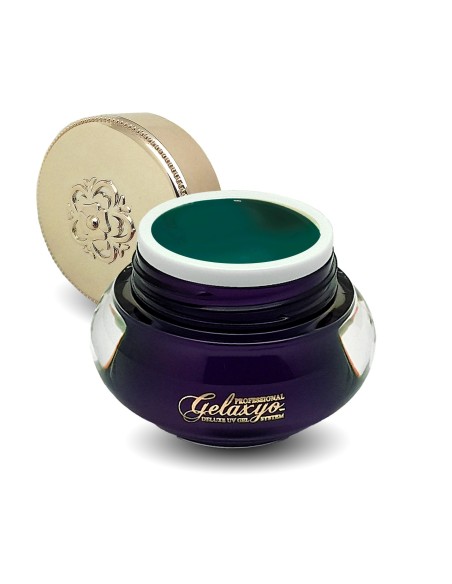 Gelaxyo ArtPaint 05 Gelaxyo ArtPaint 05