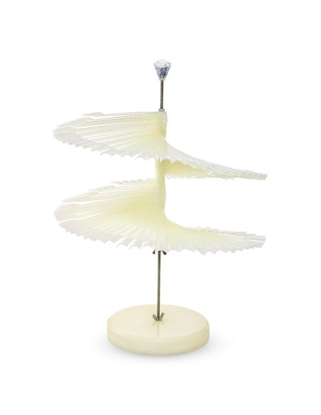 MOSTRAR SPIRALĂ NATUR PENTRU 120 CULORI MOSTRAR SPIRALĂ NATUR PENTRU 120 CULORI