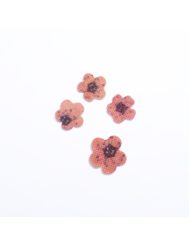 PAIETE 37 - FLORICELE