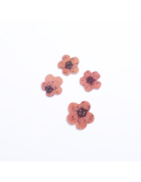 PAIETE 37 - FLORICELE