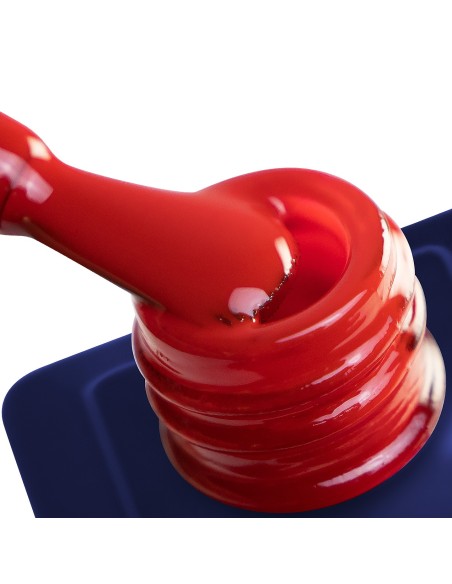 GKS253 - Gelaxyo Passion