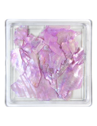 SCOICI SFĂRÂMATE MODEL 12