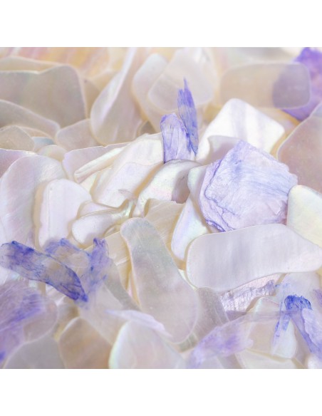 SCOICI SFĂRÂMATE MODEL 15