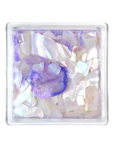 SCOICI SFĂRÂMATE MODEL 15