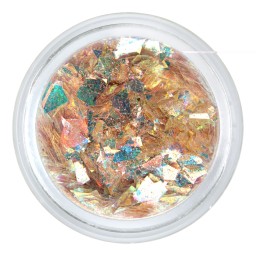 FULGI HOLOGRAFICI FH-06 2