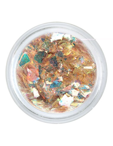 FULGI HOLOGRAFICI FH-06