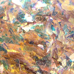 FULGI HOLOGRAFICI FH-06