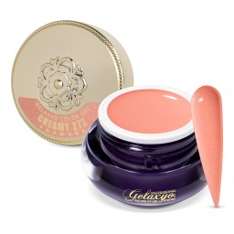 Gel Color Gelaxyo Creamy 273