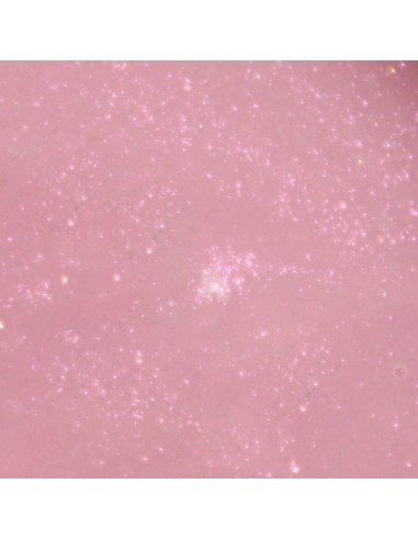 VIVA LA TIENDA BUILDER GEL SHIMMER 01 - 15ml