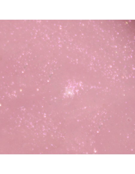 VIVA LA TIENDA BUILDER GEL SHIMMER 01 - 15ml