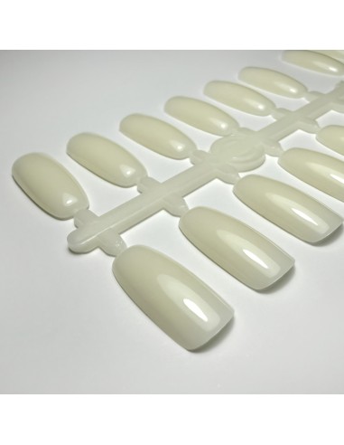 SET 120 TIPSURI DE PREZENTARE OVAL NATUR PENTRU...