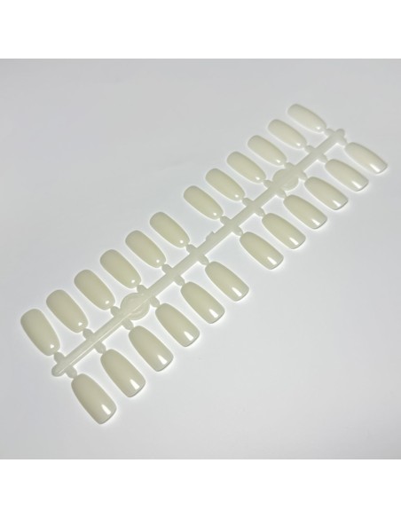 SET 120 TIPSURI DE PREZENTARE OVAL NATUR PENTRU CATALOG