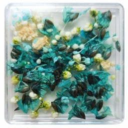 FLORI NATURALE USCATE - TURCOAZ si ALBE