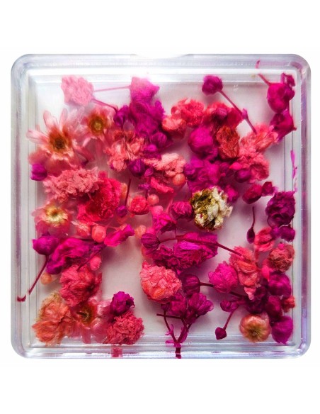 FLORI NATURALE USCATE - ROZ si FUCHSIA