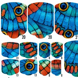PEDI WRAPS ANIMAL COUTURE AC-17 GELAXYO 2