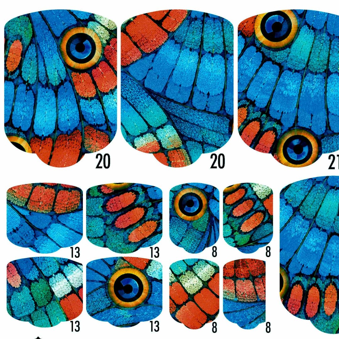 PEDI WRAPS ANIMAL COUTURE AC-17 GELAXYO CU 38...